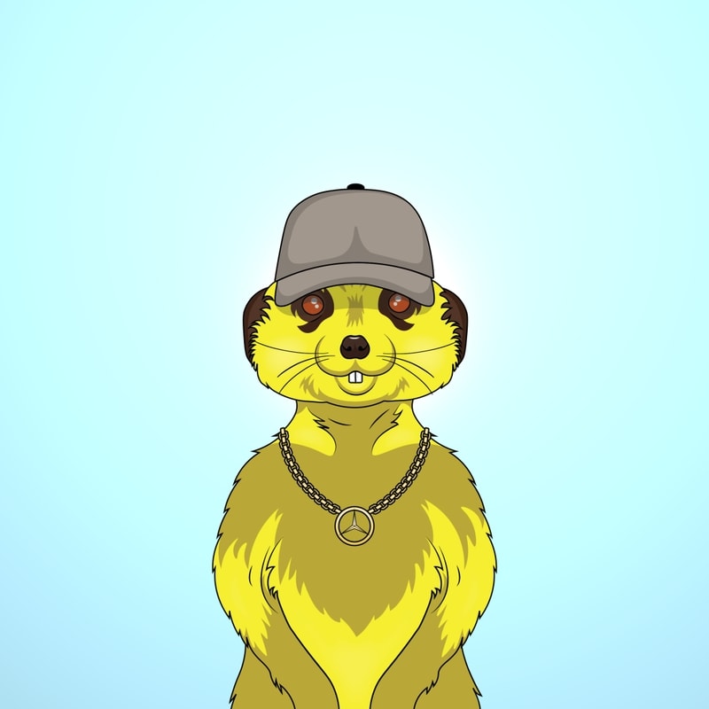 Cult of Meerkats #8680